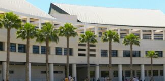 University of Alicante. Intensive Spanish Language Course in Spain. Spring Semester. $1,650 Tuition. University of Alicante Study Abroad in Spain