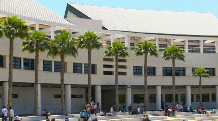 University of Alicante. Intensive Spanish Language Course in Spain. Spring Semester. $1,650 Tuition. University of Alicante Study Abroad in Spain